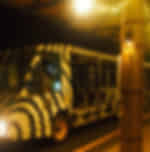 Night Safari with Tram on private Basis